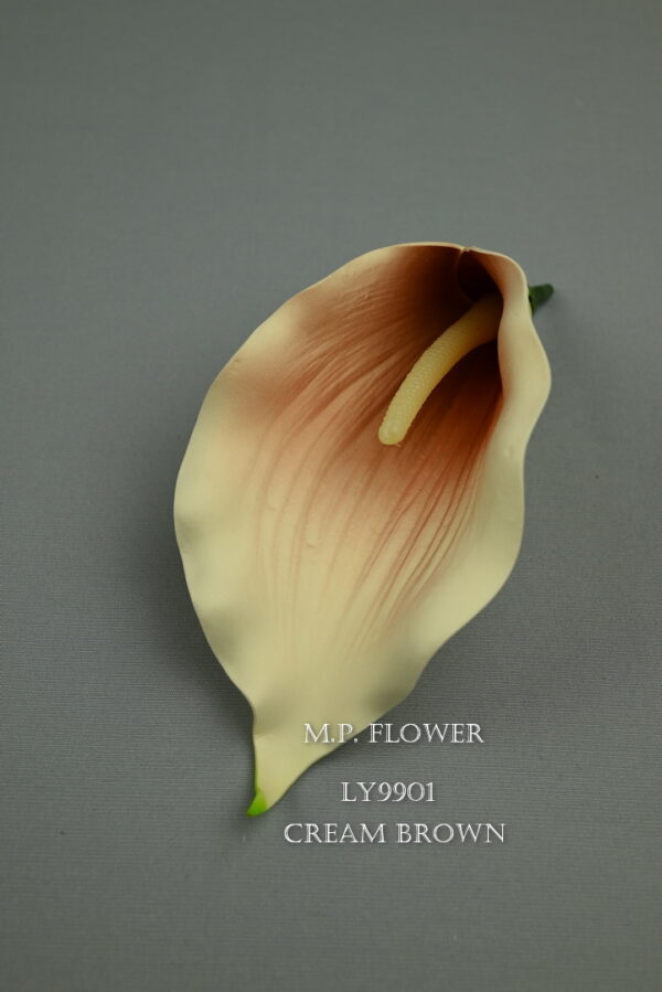 Kala<p>LY9901 - Image 8
