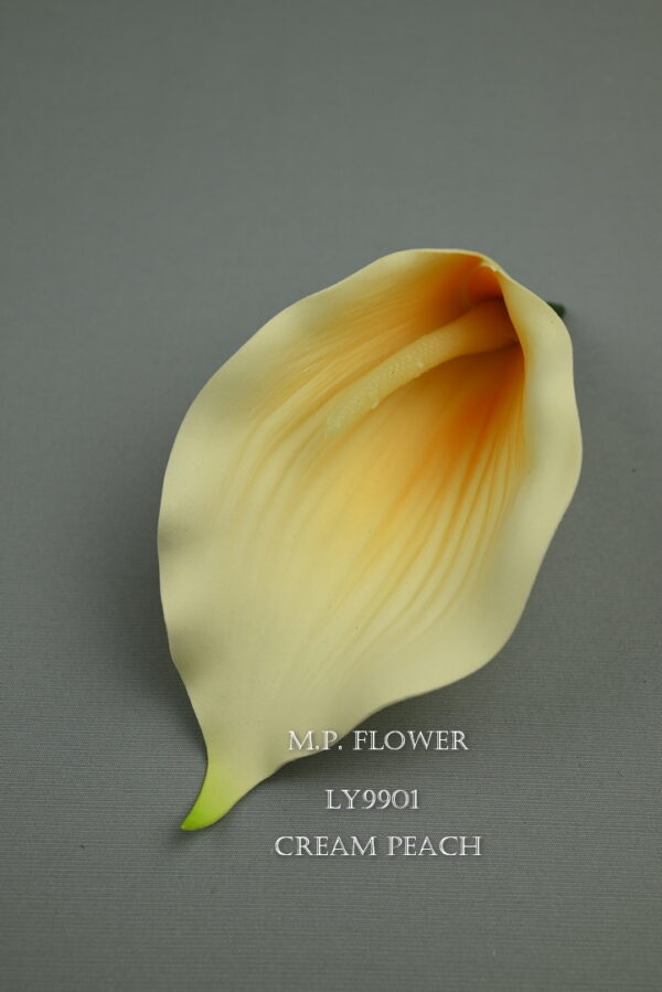 Kala<p>LY9901 - Image 6