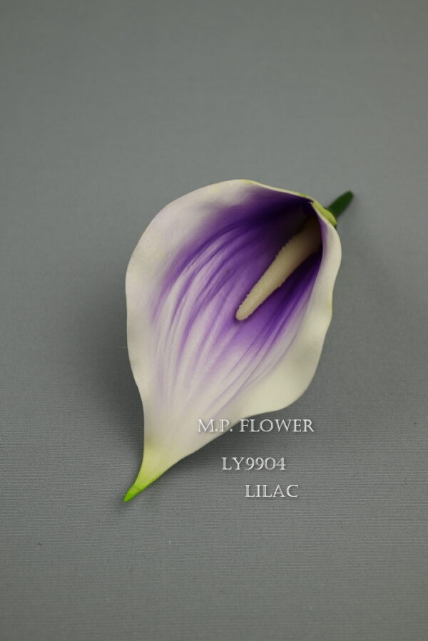 Kala<p>LY9904 - Image 6