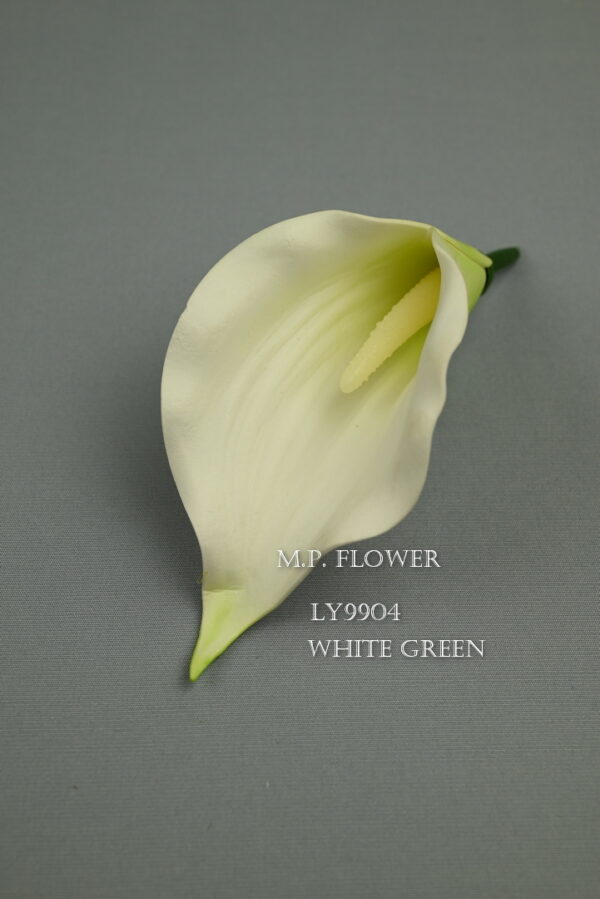 Kala<p>LY9904 - Image 3