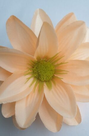 FX19301 Lotos 10 cm - peach