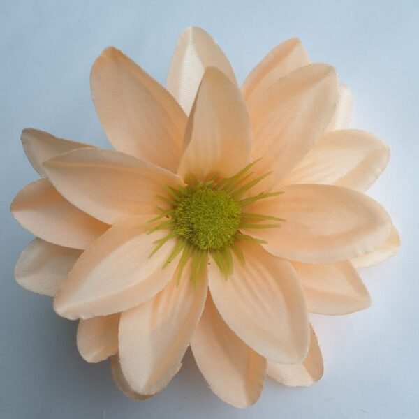 FX19301 Lotos 10 cm - peach