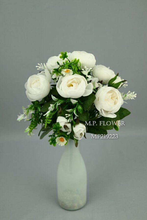 Kytica ranunculus<p>MP219223 - Image 3