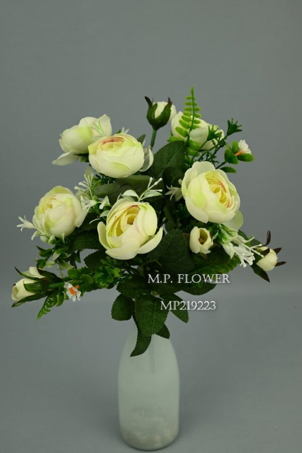 Kytica ranunculus<p>MP219223 - Image 2