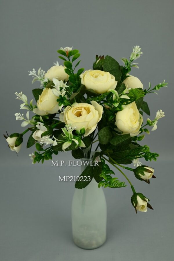 Kytica ranunculus<p>MP219223 - Image 4