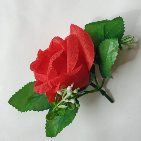 ML6031 ruža red 01#