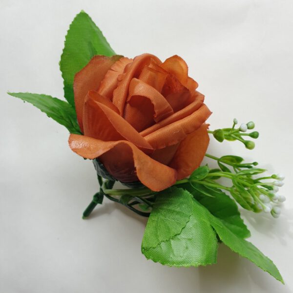 ML6031ruža brown tch green