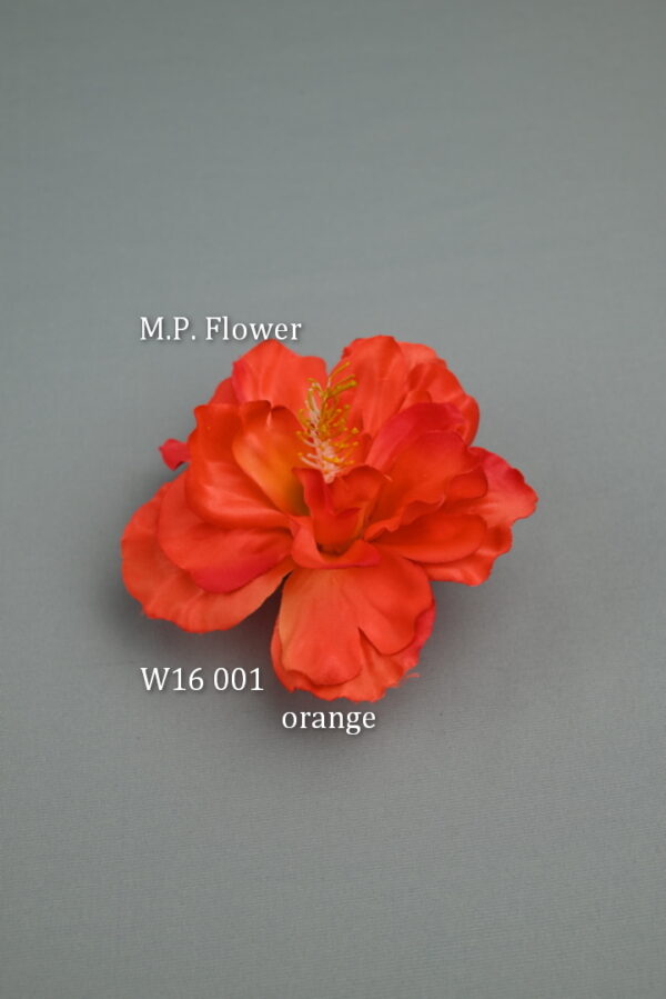 Hibiskus<p>W16 001