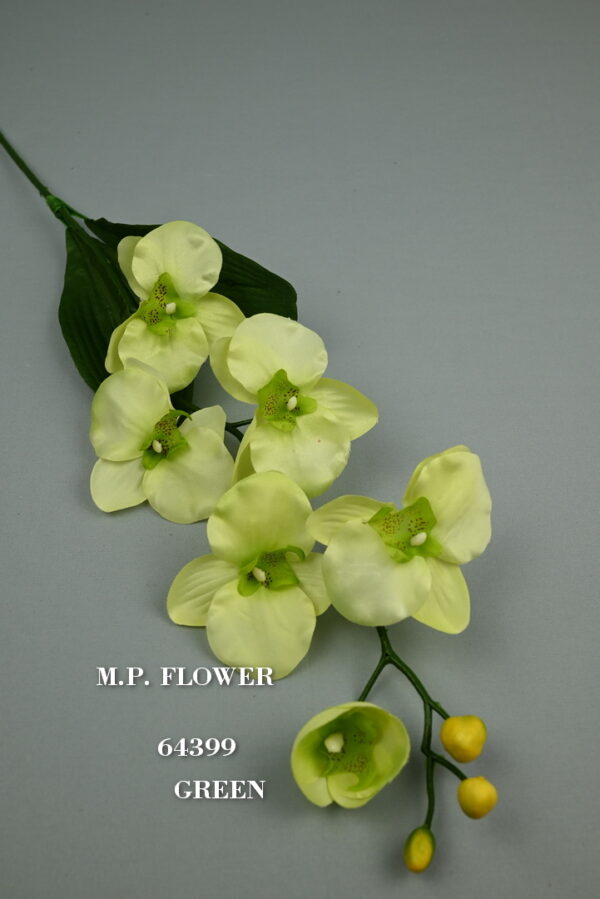 Orchidea s listom<p>64399 - Image 4