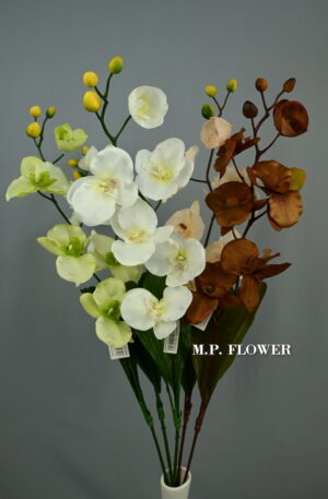 Orchidea s listom<p>64399
