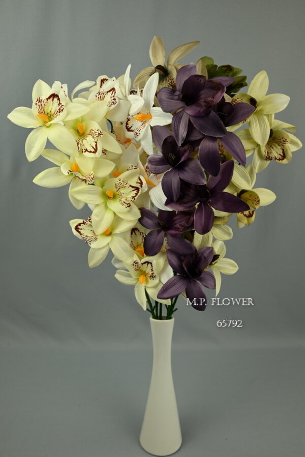 orchidea stopková<p>65792