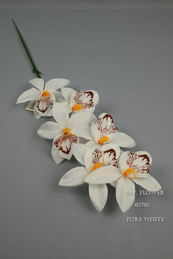 orchidea stopková<p>65792 - Image 2