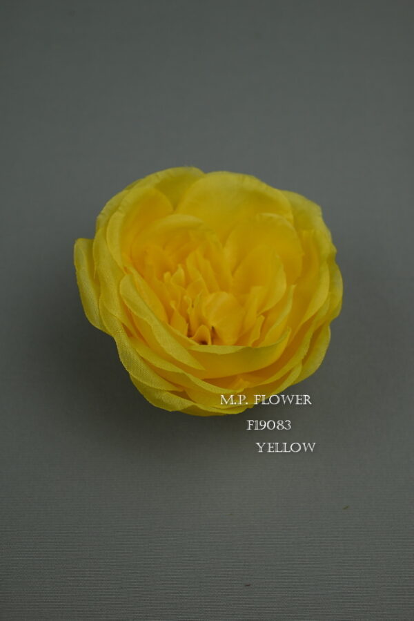 Camellia<p>F19083 - Image 2