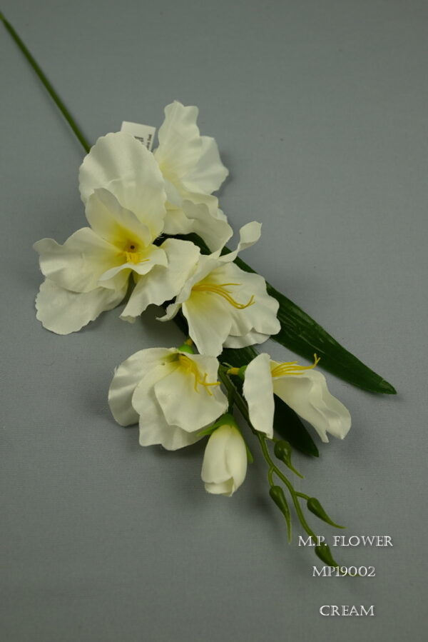 Gladiola satén<p>MP19002 - Image 4