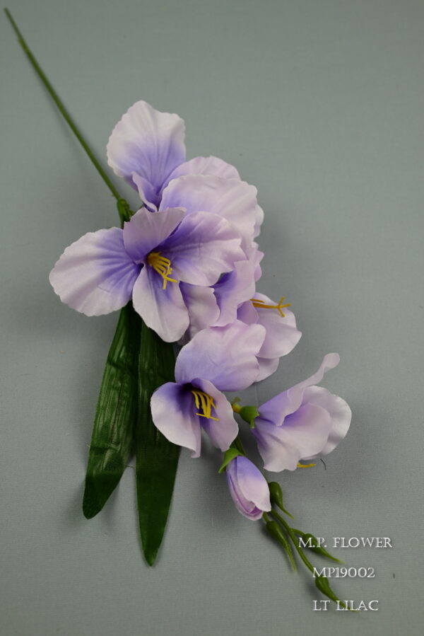 Gladiola satén<p>MP19002 - Image 9