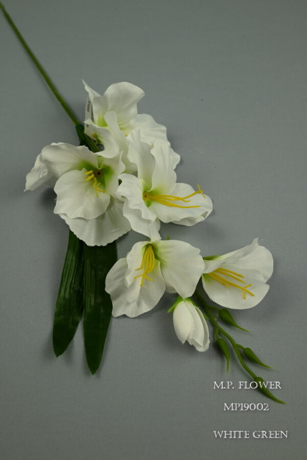 Gladiola satén<p>MP19002 - Image 3