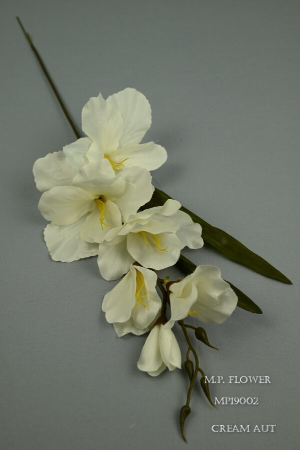 Gladiola satén<p>MP19002 - Image 5