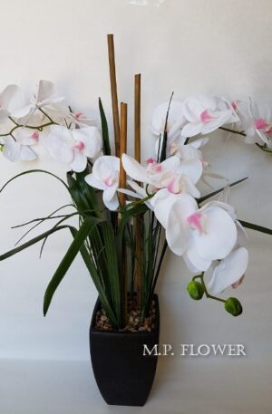 Orchidea črep<p>SCF-POT-030016