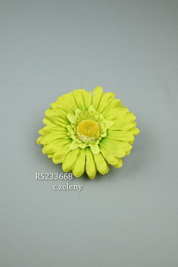 RS233668 gerbera  - C-zeleny.