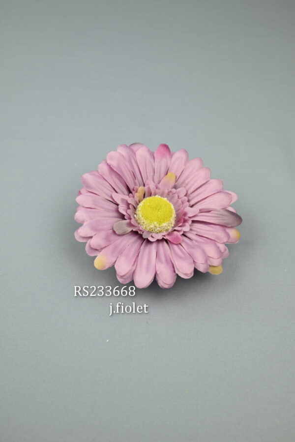 RS233668 gerbera - J-fiolet.