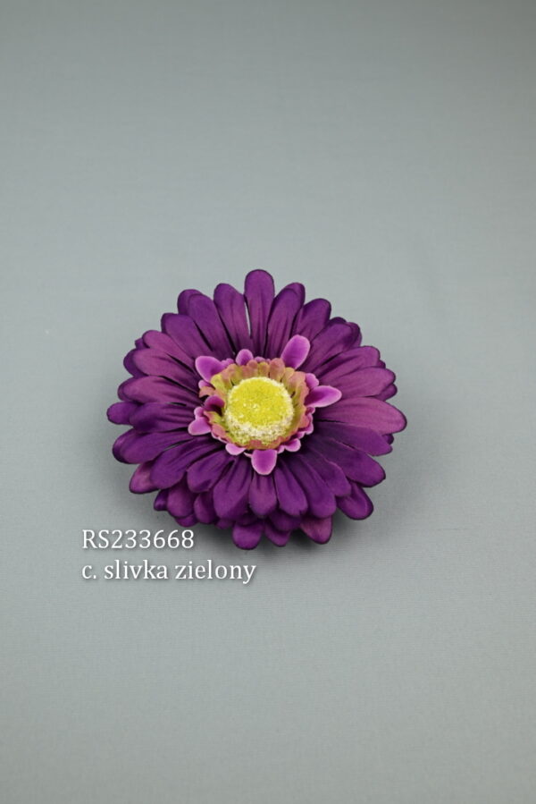 RS233668  gerbera -c-slivka-zielony.