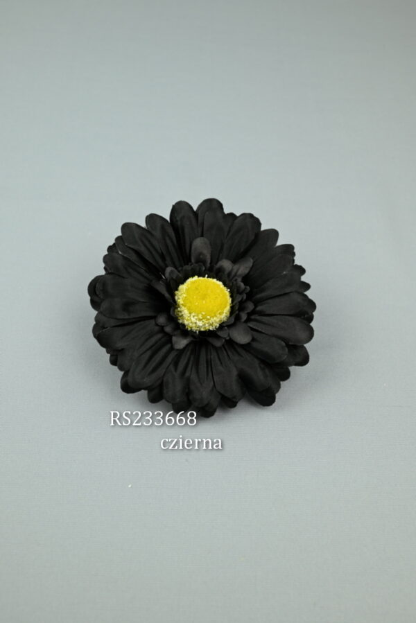 RS233668 Gerbera  - čierna