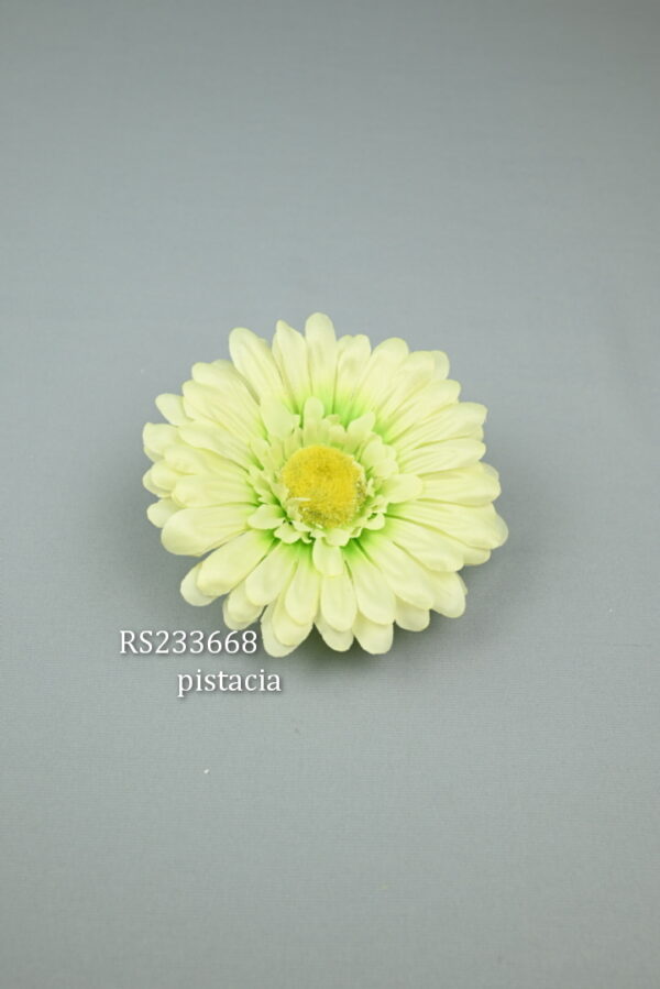 Gerbera satén<p>RS233668