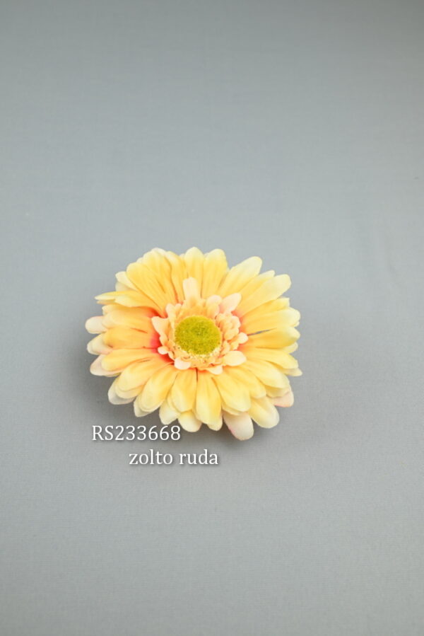 RS233668 gerbera  - zolto-rudy