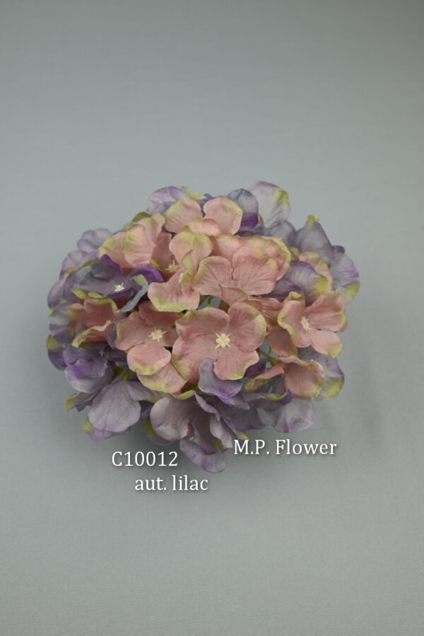Hortenzia<p>C10012 - Image 3