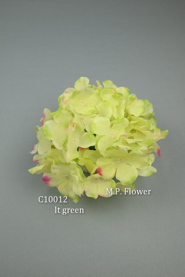 Hortenzia<p>C10012 - Image 8