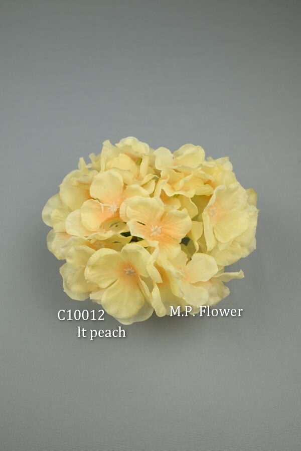 Hortenzia<p>C10012 - Image 9