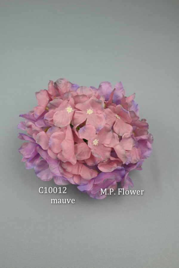 Hortenzia<p>C10012 - Image 6