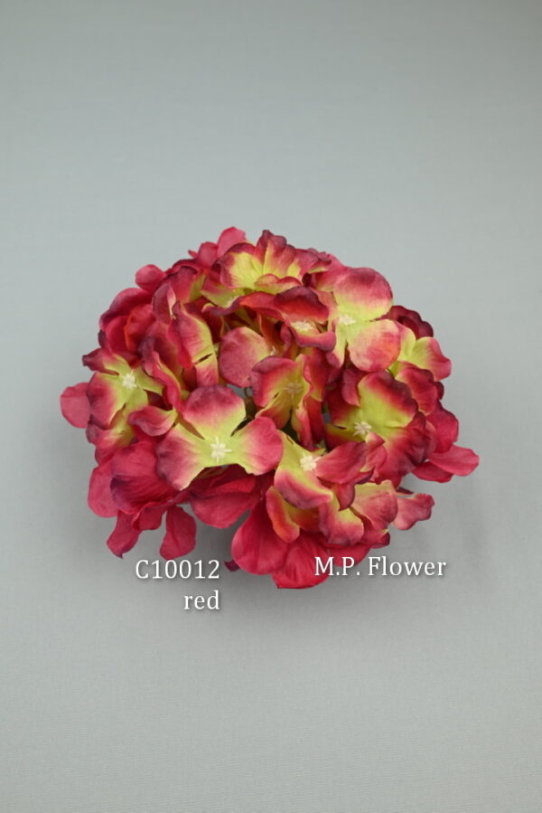Hortenzia<p>C10012 - Image 5