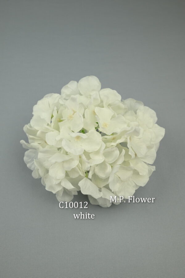 Hortenzia<p>C10012 - Image 12