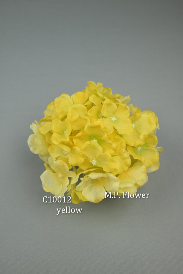 Hortenzia<p>C10012 - Image 11
