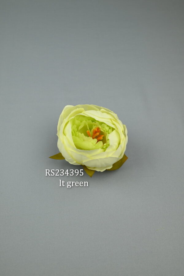 Camélia satén<p>RS234395 - Image 15