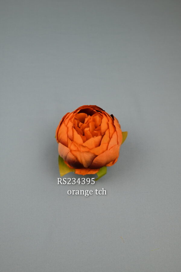 Camélia satén<p>RS234395 - Image 7