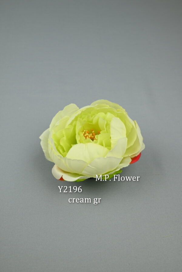 Camélia<p>Y2196 - Image 3