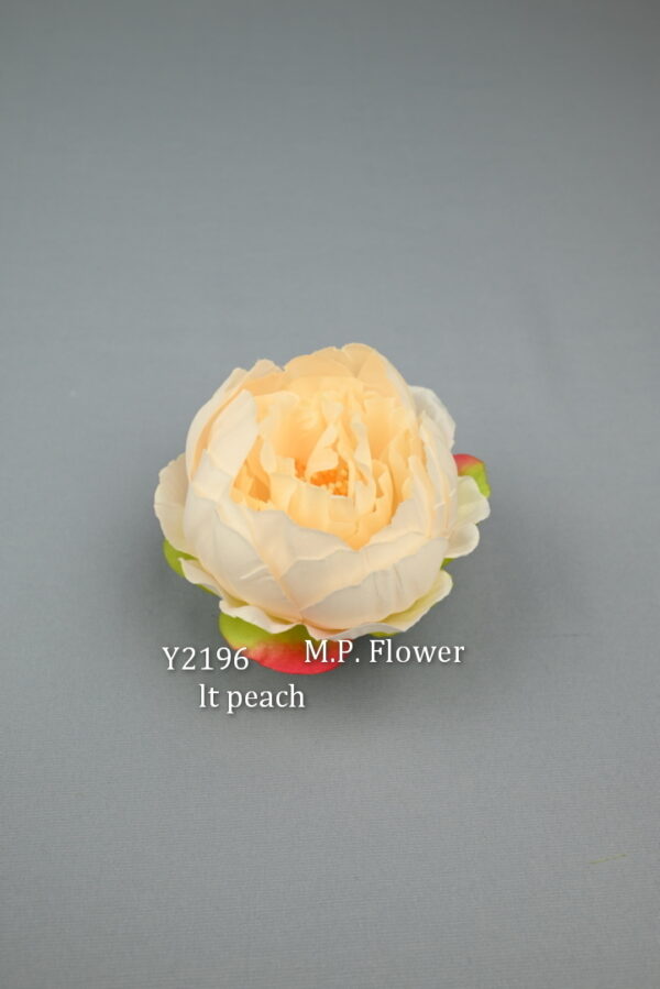 Camélia<p>Y2196 - Image 4