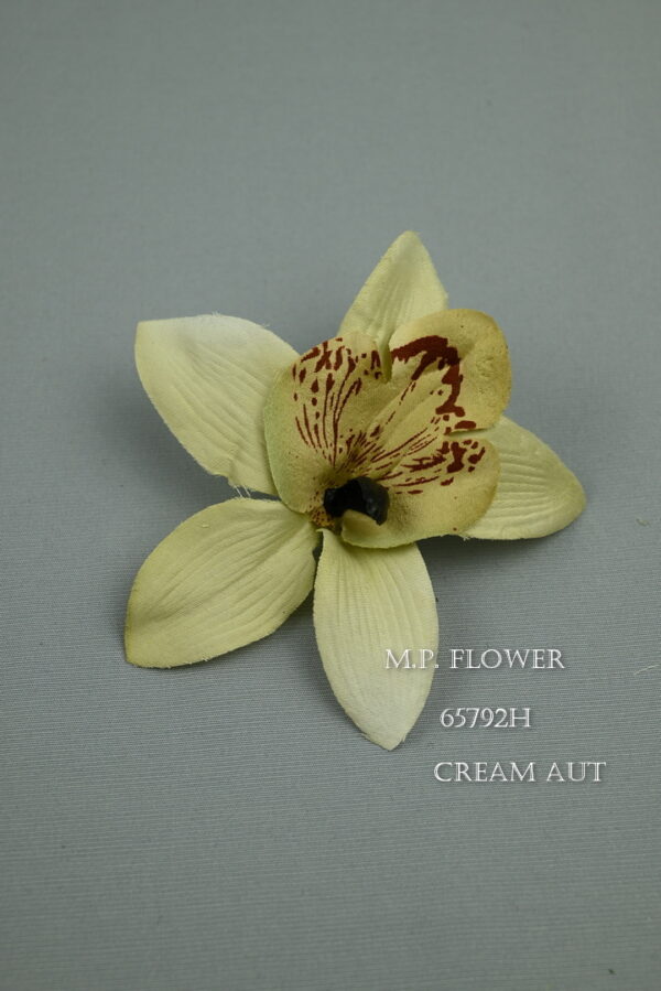 orchidea<p>65792H - Image 6