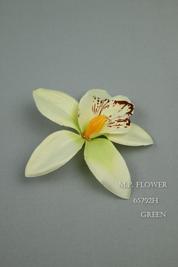 orchidea<p>65792H - Image 3