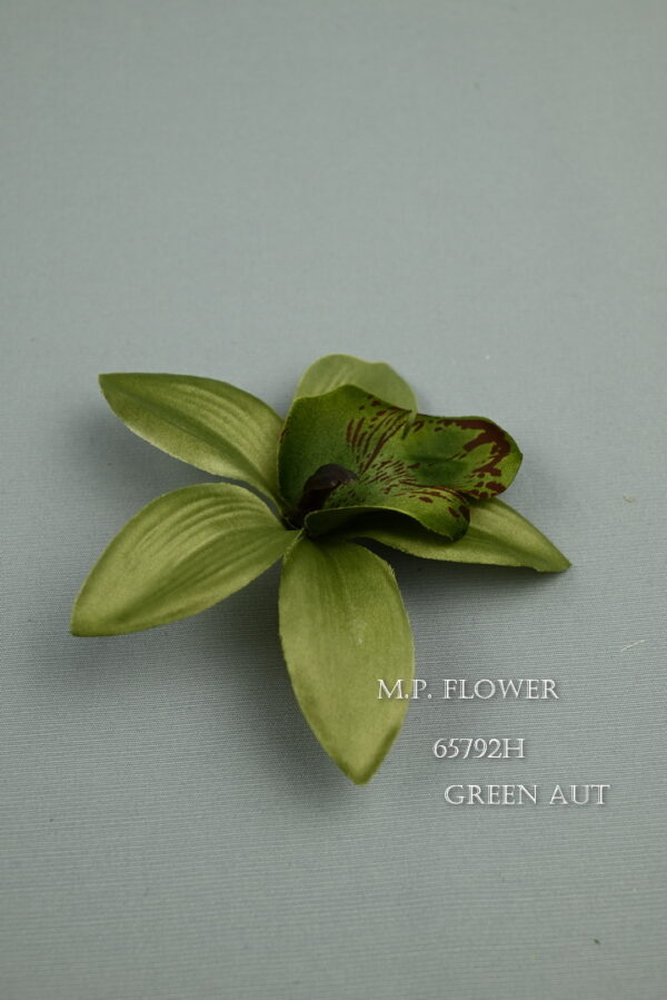 orchidea<p>65792H - Image 7