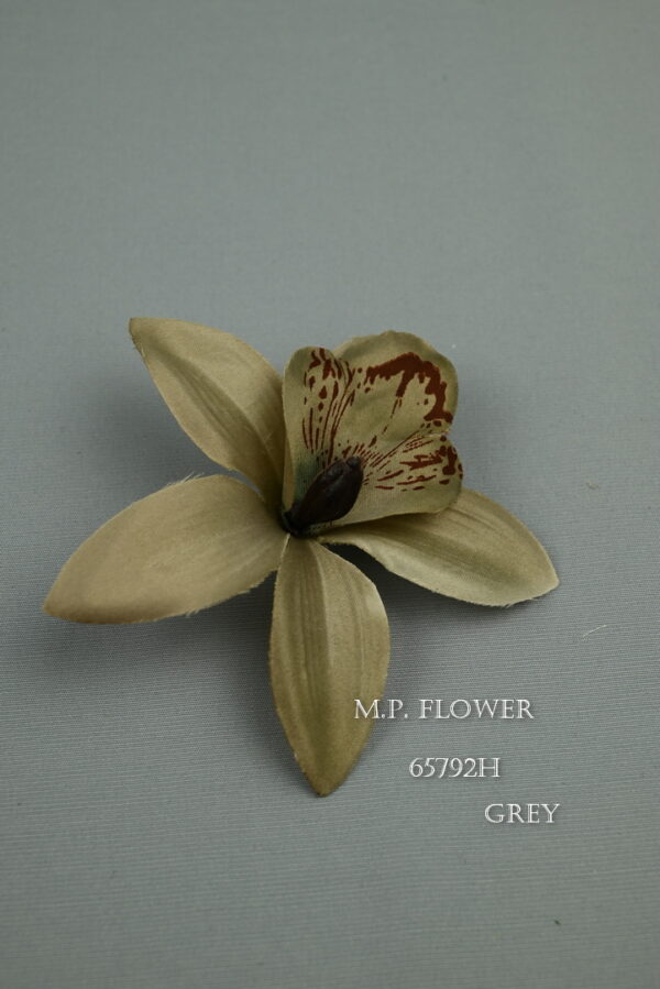 orchidea<p>65792H - Image 9