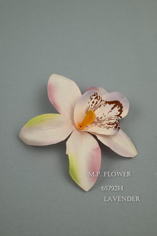 orchidea<p>65792H - Image 5