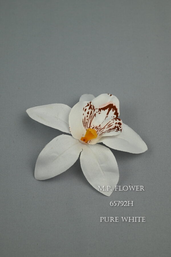 orchidea<p>65792H - Image 2
