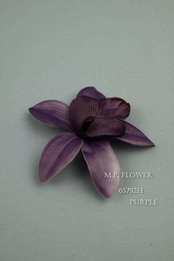 orchidea<p>65792H - Image 8