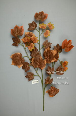 List BROWN<p>C2316-3
