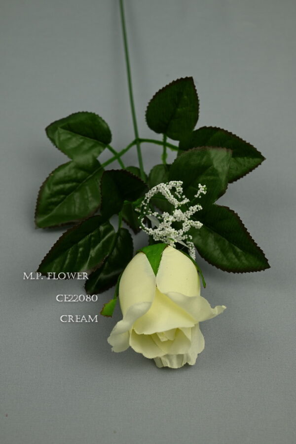 Ruža mix<p>CE22080 - Image 3