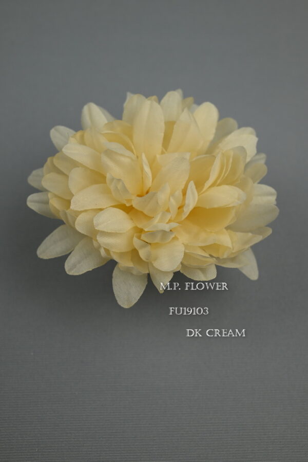 Chryzantéma vencová<p>FU19103 - Image 3