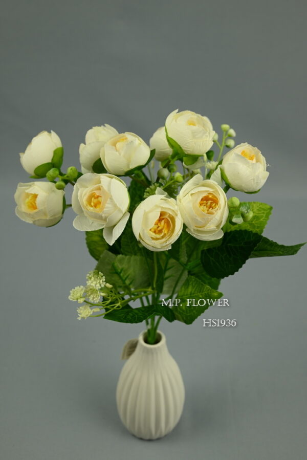 Kytica ranunculus<p>HS1936 - Image 4